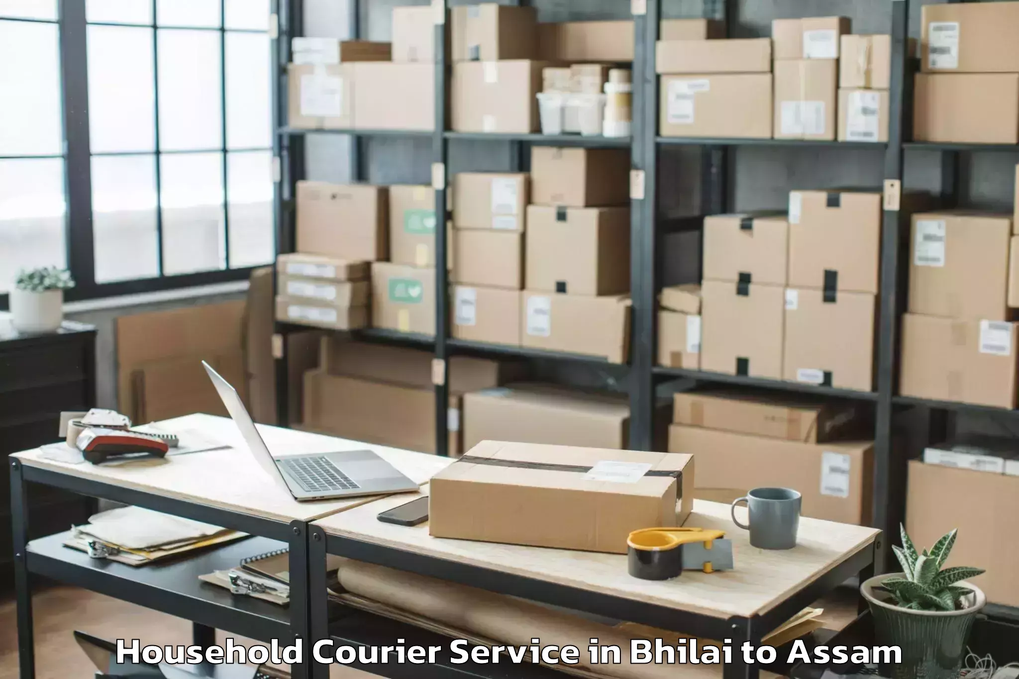 Top Bhilai to Jorhat West Household Courier Available